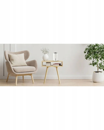 Oro sausintuvas – drėgmės sugėriklis Berdsen BD-529