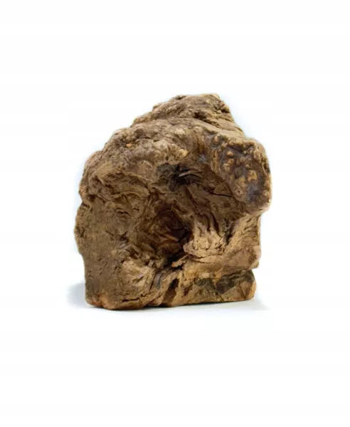 PREMIUM skanėstas šuns kramtalas NATŪRALUS viržių šaknis L (300-500g) PAKO