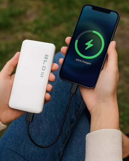BLOW 10000 mAh išorinė baterija Power Bank USB greitas įkrovimas talpi su USB-C laidu komplektas