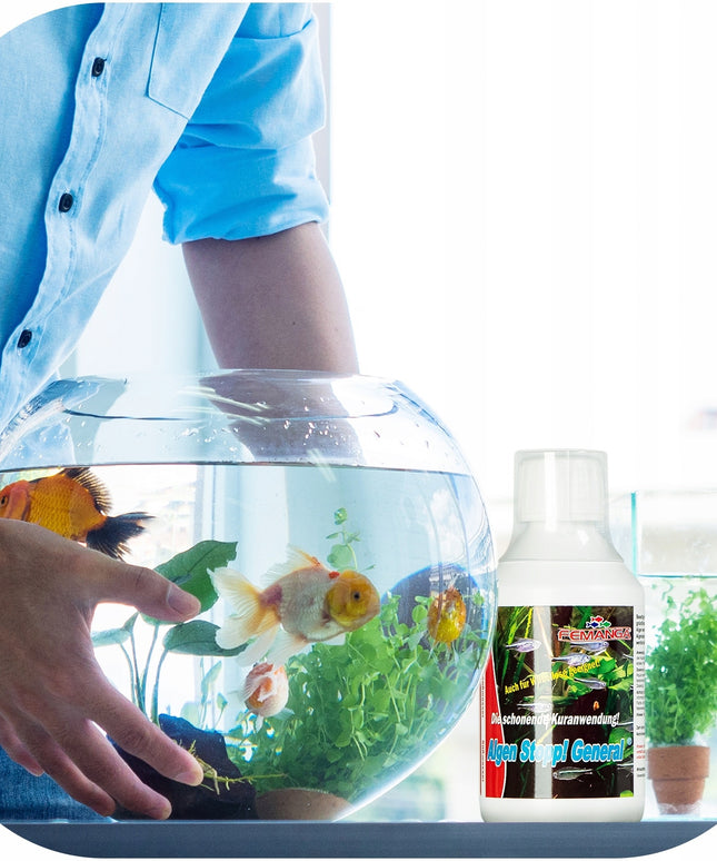 Preparatas nuo dumblių ir raudonųjų dumblių akvariume ALLEGR