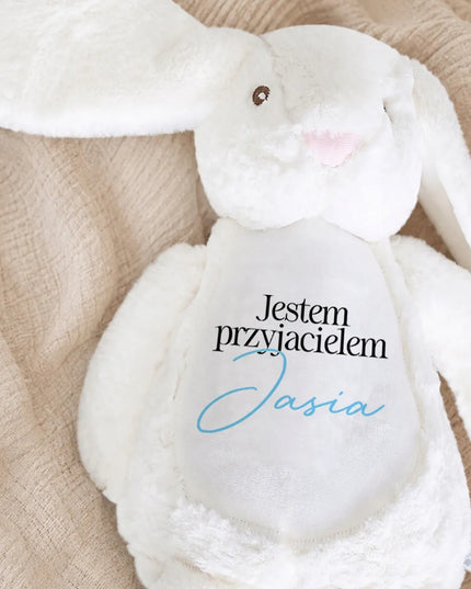 Dovana berniukui Vaikų dienos proga – pliušinis triušis „Aš esu draugas“ su vardu
