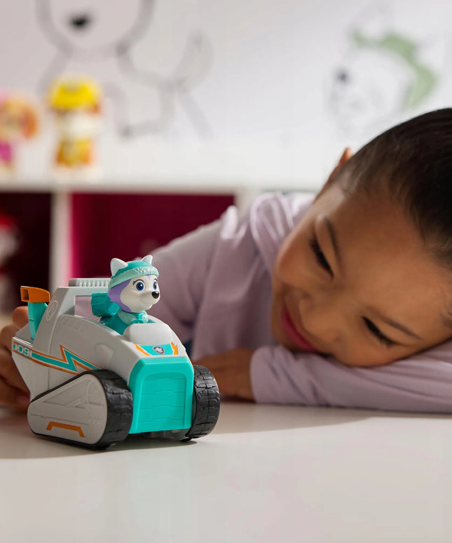 Paw Patrol Everest sniego rogės transporto priemonė su figūrėle
