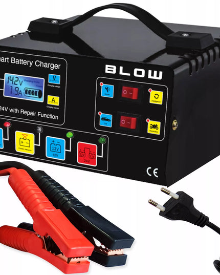 AUTOMATINIS AKUMULIATORIŲ KROVIKLIS SU JŲ TAIISYMO FUNKCIJA 12V 24V