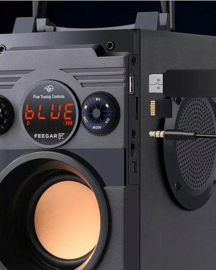 Nešiojamas Bluetooth Garsiakalbis Feegar Showjet 4000mah RADIO AUX USB MP3 SD