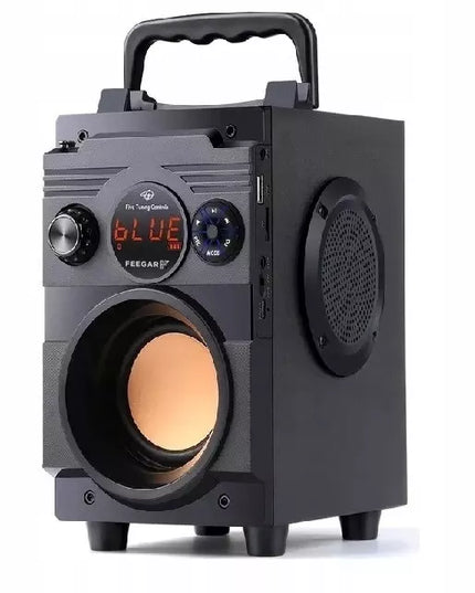 Nešiojamas Bluetooth garsiakalbis Feegar Showjet 4000mAh radijas AUX USB MP3 SD