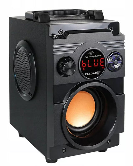 Nešiojamas Bluetooth Garsiakalbis Feegar Showjet 4000mah RADIO AUX USB MP3 SD