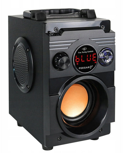 Nešiojamas Bluetooth Garsiakalbis Feegar Showjet 4000mah RADIO AUX USB MP3 SD