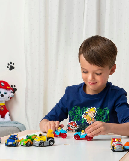 PAW PATROL MIGHTY PUPS 8 metalinių transporto priemonių rinkinys TRUE METAL