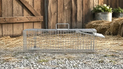 Didelė humaniška gyvagaudė gaudyklė kiaunėms, žiurkėms, lapėms, ūdroms ir žebenkštims