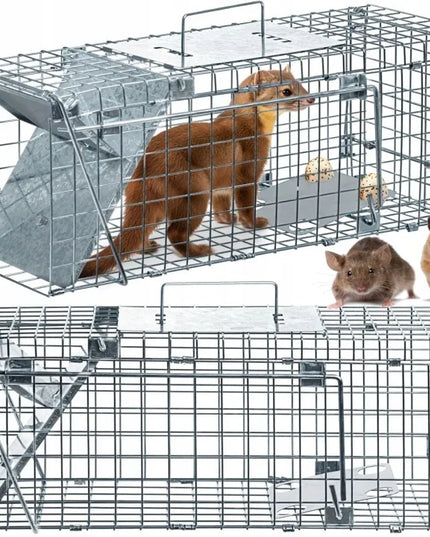 Didelė humaniška gyvagaudė gaudyklė kiaunėms, žiurkėms, lapėms, ūdroms ir žebenkštims