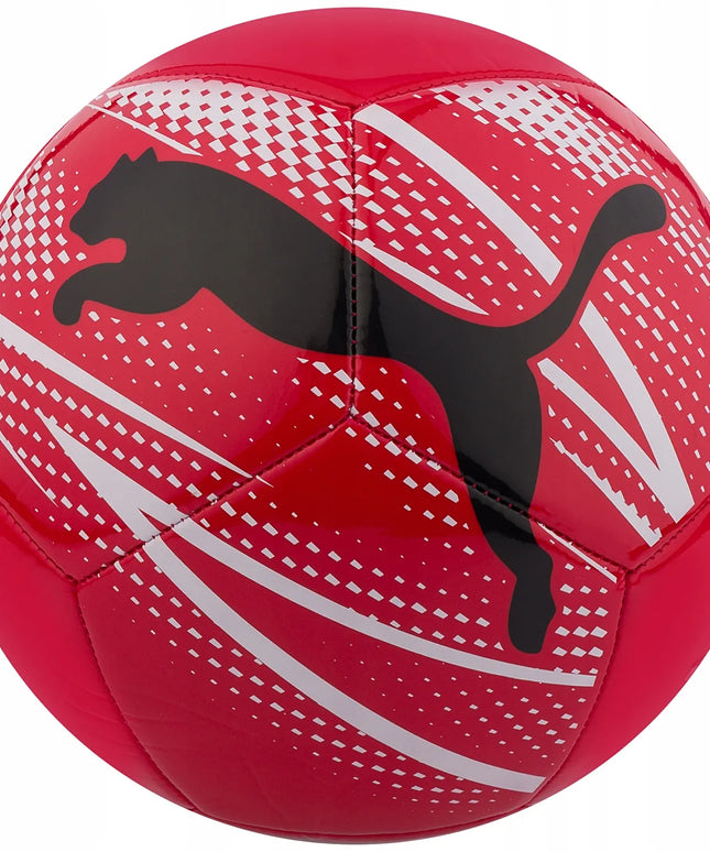 Futbolo kamuolys Puma, 5 dydis, treniruočių, su pompa