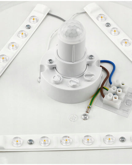 LED Plafonas 12W Šviestuvas Lubinis Su Judesio ir Prieblandos Jutikliu