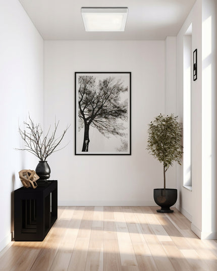 Lubinis LED šviestuvas, paviršinio montavimo, 24W, 2640lm, 4000K, baltas, kvadratinis