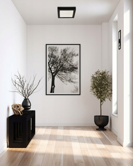 LED lubos šviestuvas, paviršinis montavimas 24W 2640lm 4000K juodas kvadratinis