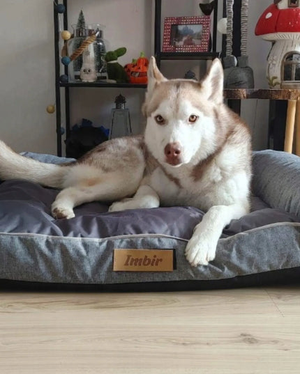 „DOGESTE Oxford“ XXL dydžio pilkas guolio užvalkalas