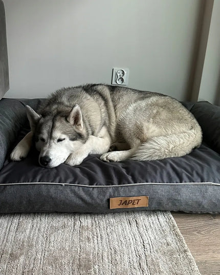 „DOGESTE Oxford“ XXL dydžio pilkas guolio užvalkalas
