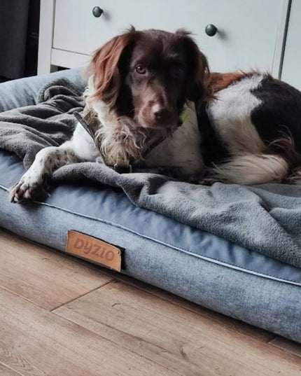 „DOGESTE Oxford“ XXL dydžio pilkas guolio užvalkalas