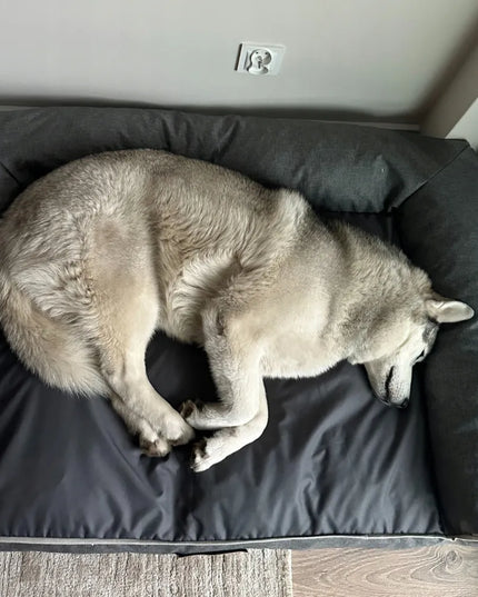 „DOGESTE Oxford“ XXL dydžio pilkas guolio užvalkalas
