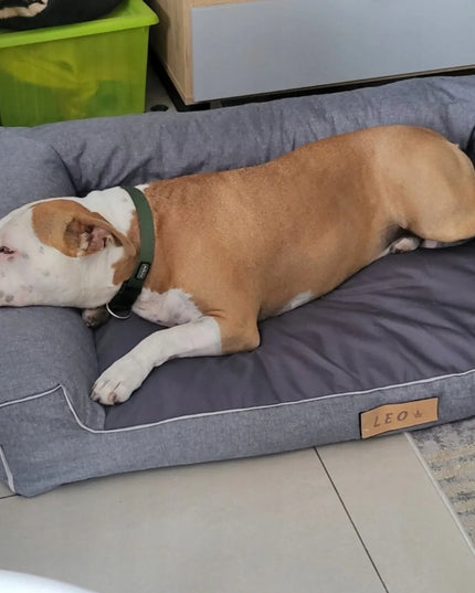 „DOGESTE Oxford“ XXL dydžio pilkas guolio užvalkalas