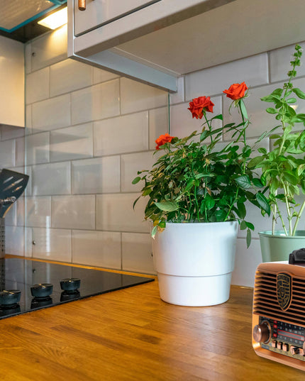 Nešiojamas virtuvės radijas RETRO su saulės baterijomis, Bluetooth, antena, rankena