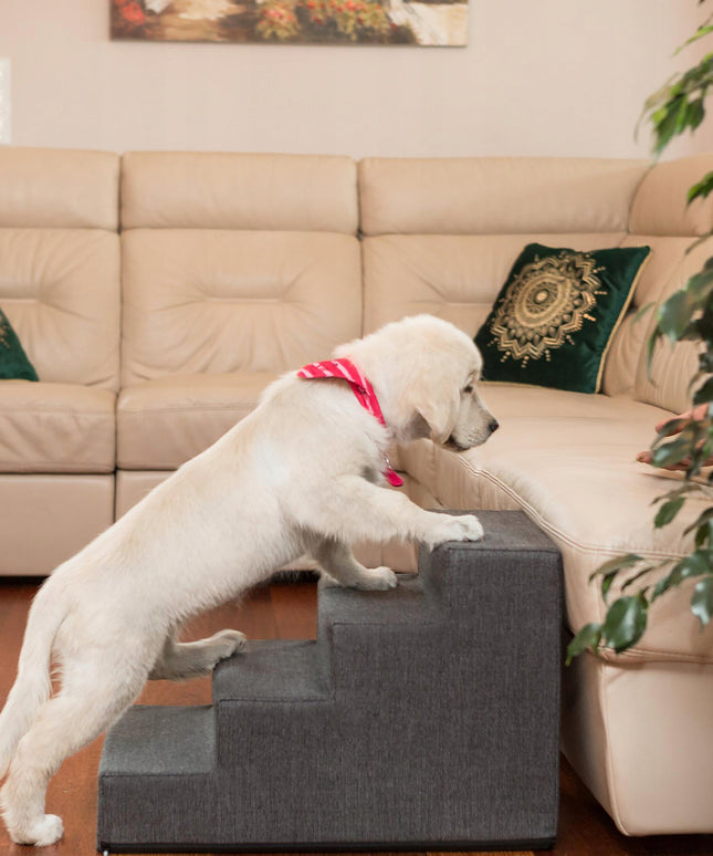 Suniukų ir kačių laipteliai / rampa neslystanti, 4 pakopos 40 cm