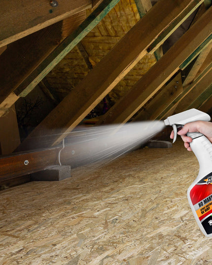 Purškalas, skystis, priemonė nuo kūnų, atbaidantis kunes NO MARTEN NO PEST 500ML