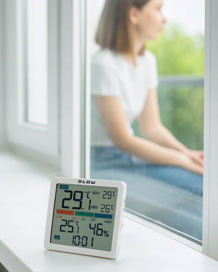 Belaidė meteorologinė stotelė su termometru, higrometru, laikrodžiu ir zondų