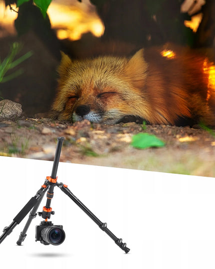 K&F Concept fotoaparato trikojis ir monopodas, 175 cm, galvutė, iki 10 kg