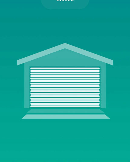 Valdiklis garažo ir įvažiavimo vartams, WiFi relė TUYA + davikliai BLOW