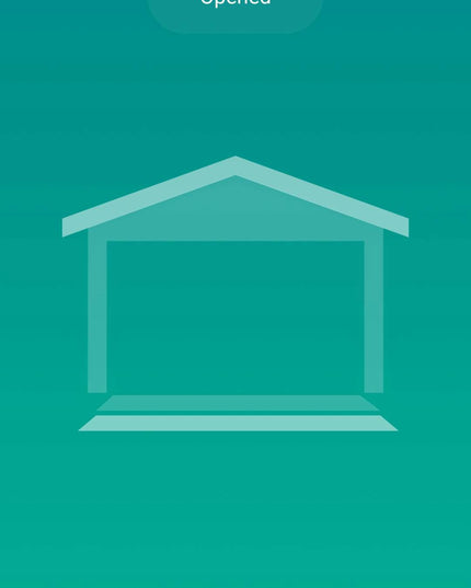 Valdiklis garažo ir įvažiavimo vartams, WiFi relė TUYA + davikliai BLOW