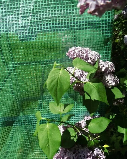 Daržovių šiltnamis 2x3m plėvelinis tunelis žalias 2m x 3m