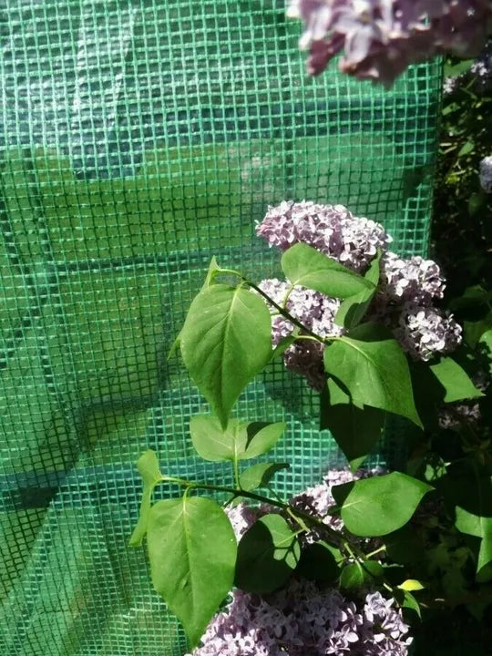 Daržovių šiltnamis 2x3m plėvelinis tunelis žalias 2m x 3m