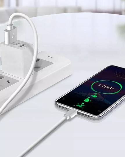 SPARTASIS TINKLO ĮKROVIKLIS USB QC 3.0 18W SU LAIDU BALTAS 1M USB-C