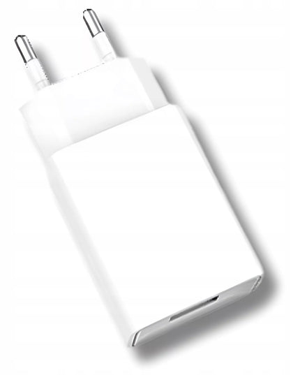 Greitas USB 2.4A 2A sieninis įkroviklis Fast Charge, blokelis, kištukas, skirtas fotoaparatui