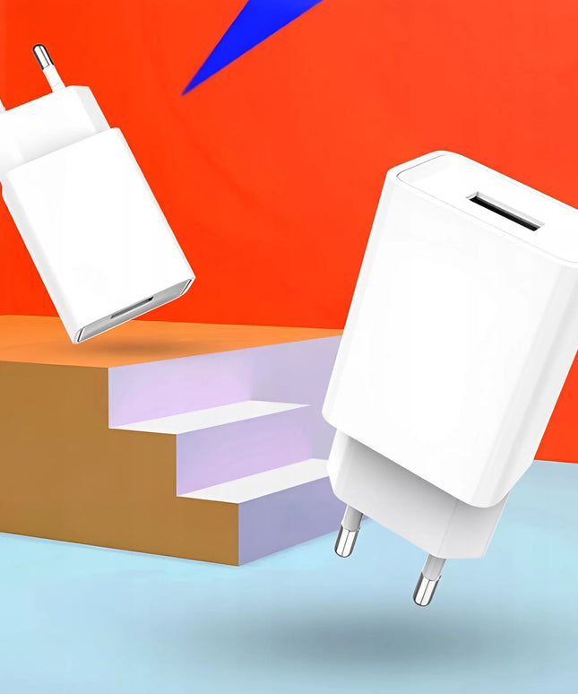 Greitas USB 2.4A 2A sieninis įkroviklis Fast Charge, blokelis, kištukas, skirtas fotoaparatui