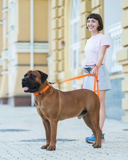 Evolutor šunų pavadėlis, tvirtas, atsparus vandeniui, 120 cm, 25 mm, oranžinis