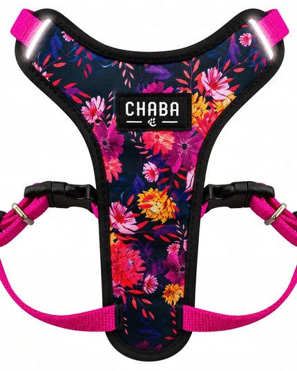 „Chaba“ „Marigold“ petnešos katėms – „guard“ tipo, reguliuojamos, nespaudžiančios ir patogios – S dydis
