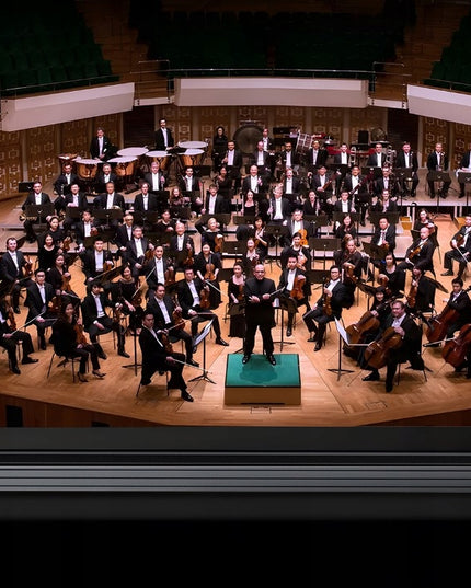 STIPRIINTAS TABLETĖ CUBOT KINGKONG TAB S 10,1" DVI SIM GPS