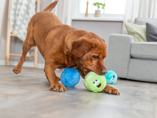 TRIXIE Buźka pliušinis kamuoliukas, minkštas cypsiantis žaislas šunims, 10 cm, 1 vnt.