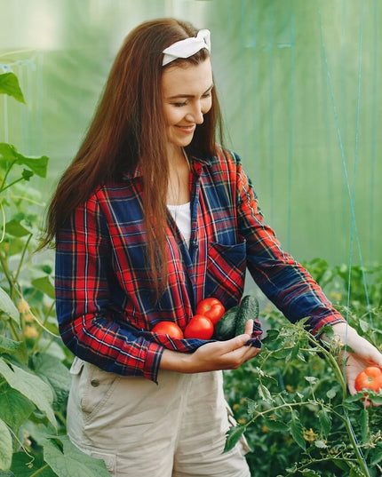 Sodo plėvelinis šiltnamis [18 m²] 6x3x2 [PLĖVELĖ + KARKASAS] | STORAS 25 mm