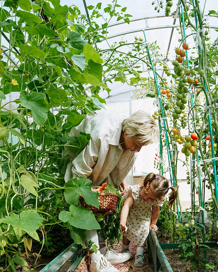 Sodo plėvelinis šiltnamis [18 m²] 6x3x2 [PLĖVELĖ + KARKASAS] | STORAS 25 mm