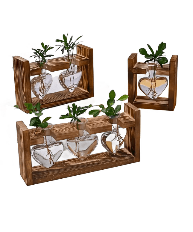 Stiklinė širdies formos vaza gėlėms, daigams, su stovu