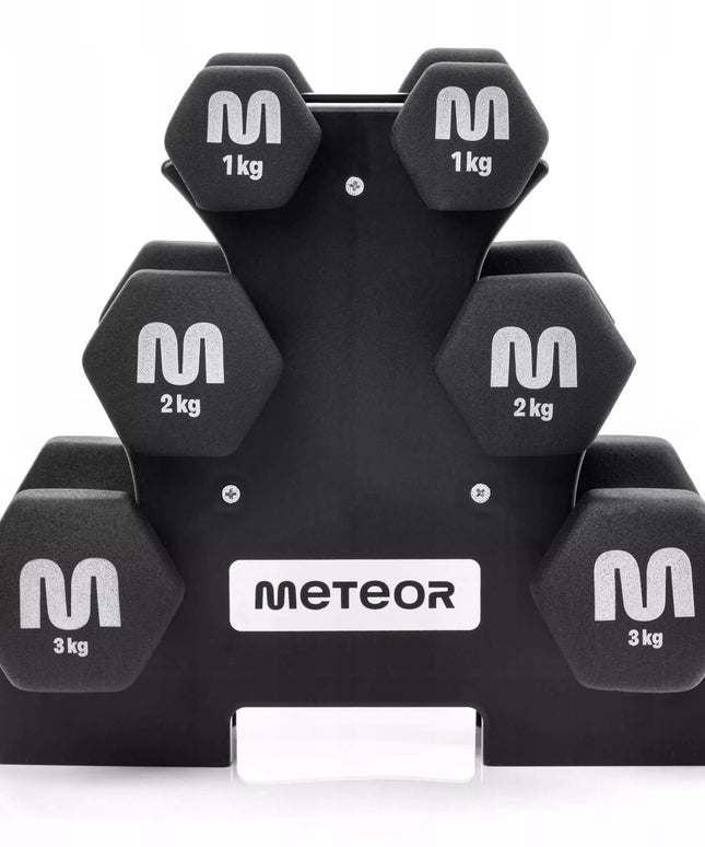 Meteor ketaus svarmenų rinkinys su stovu 2x3-2-1 kg