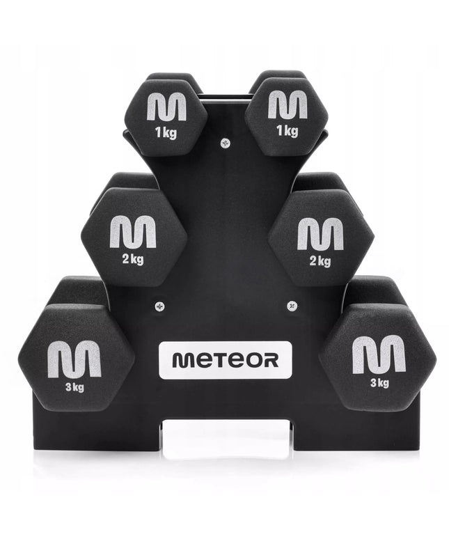 Meteor ketaus svarmenų rinkinys su stovu 2x3-2-1 kg