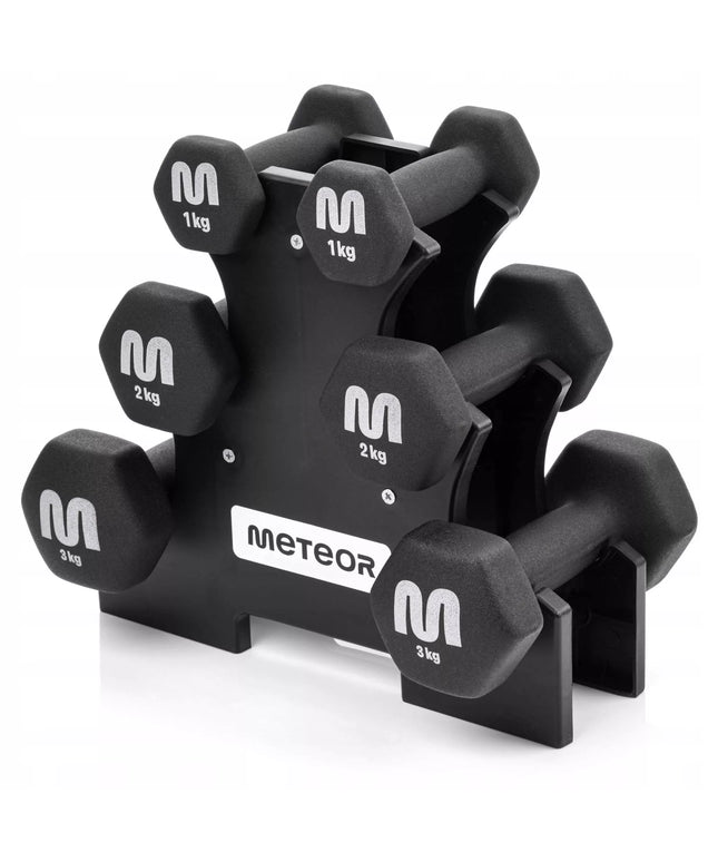 Meteor ketaus svarmenų rinkinys su stovu 2x3-2-1 kg