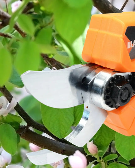 AKUMULIATORINIS ELEKTRINIS SECATORIŲ RINKINYS 30mm 100W 2 x 2 Ah AKUMULIATORIAI BL
