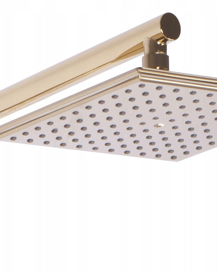 Auksinis Dušo Komplektas su Galvute BLIZGUS REA