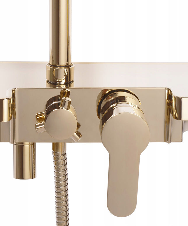 Auksinis Dušo Komplektas su Galvute BLIZGUS REA