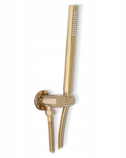 Potinkinis auksinis dušo komplektas su lietaus galvute REA Lungo