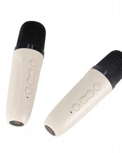 Ikonka KX2860 karaoke rinkinys su „Bluetooth“ garsiakalbiu, LED RGB apšvietimu, 2 mikrofonais ir USB